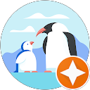 Curious Explorer profile picture